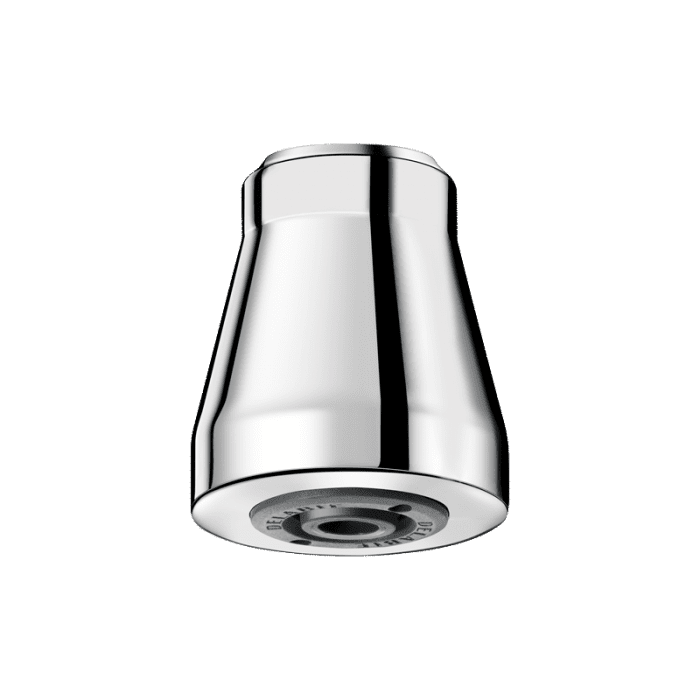 Delabie GYM Shower Head