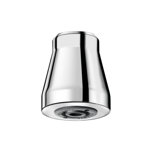 Delabie GYM Shower Head