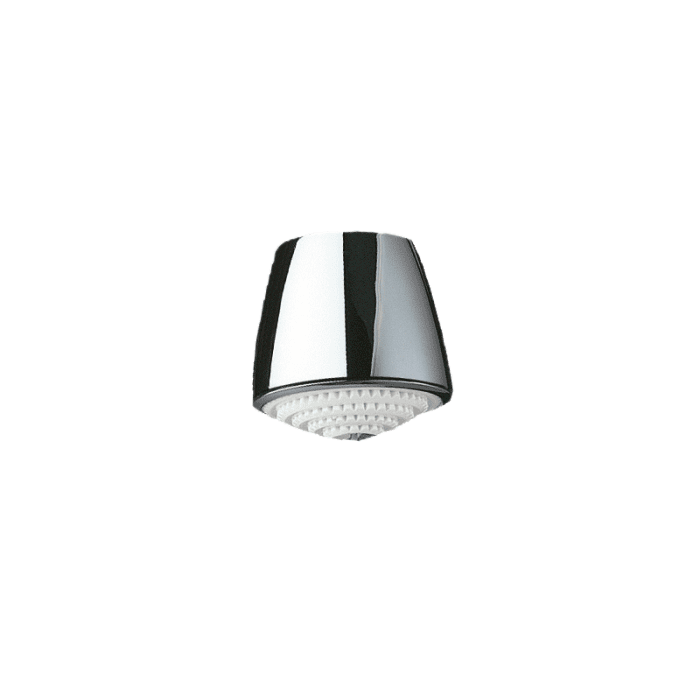 Delabie Ceiling Mounted Shower Head