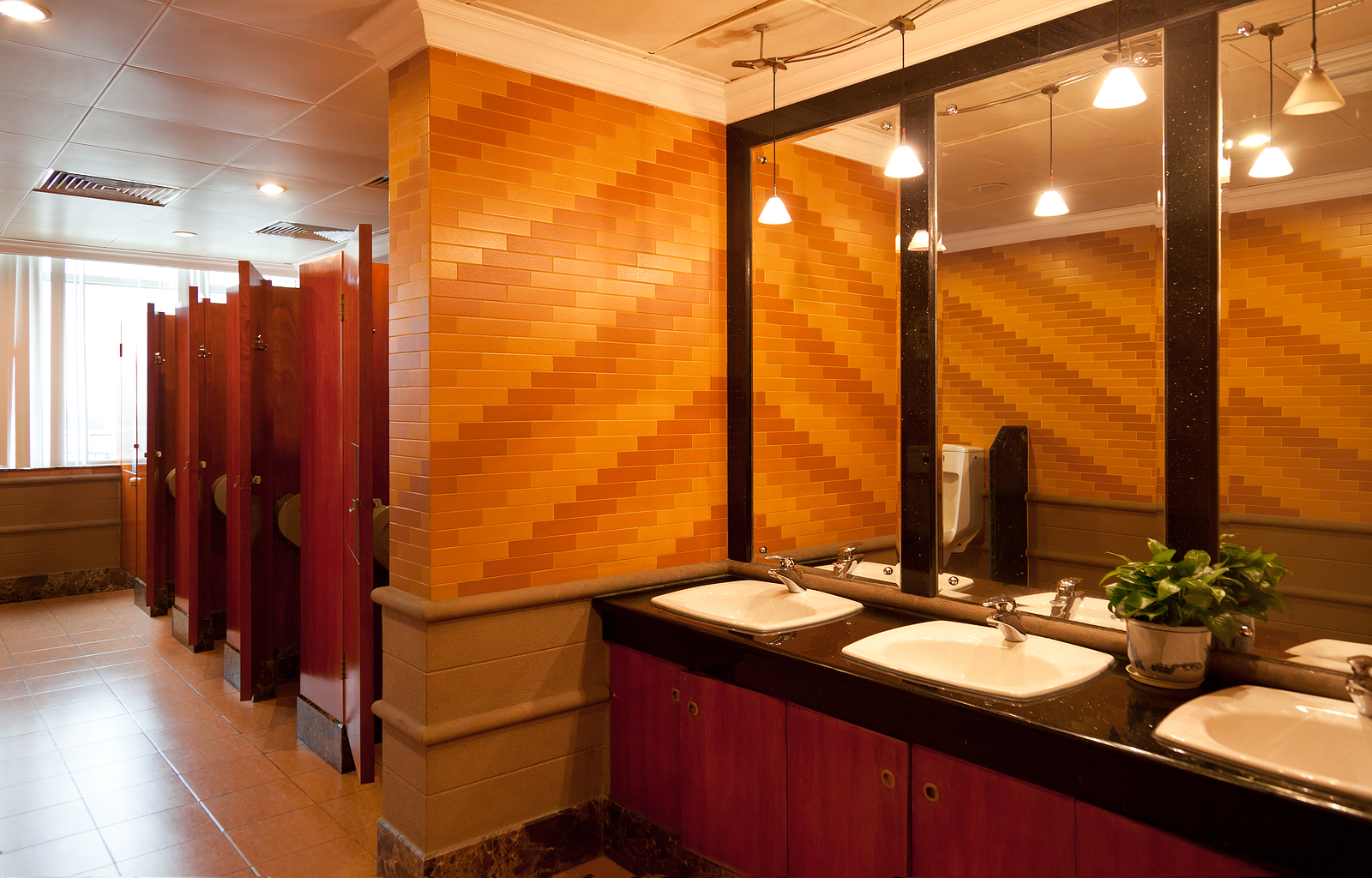 Toilet cubicles - luxury public restroom